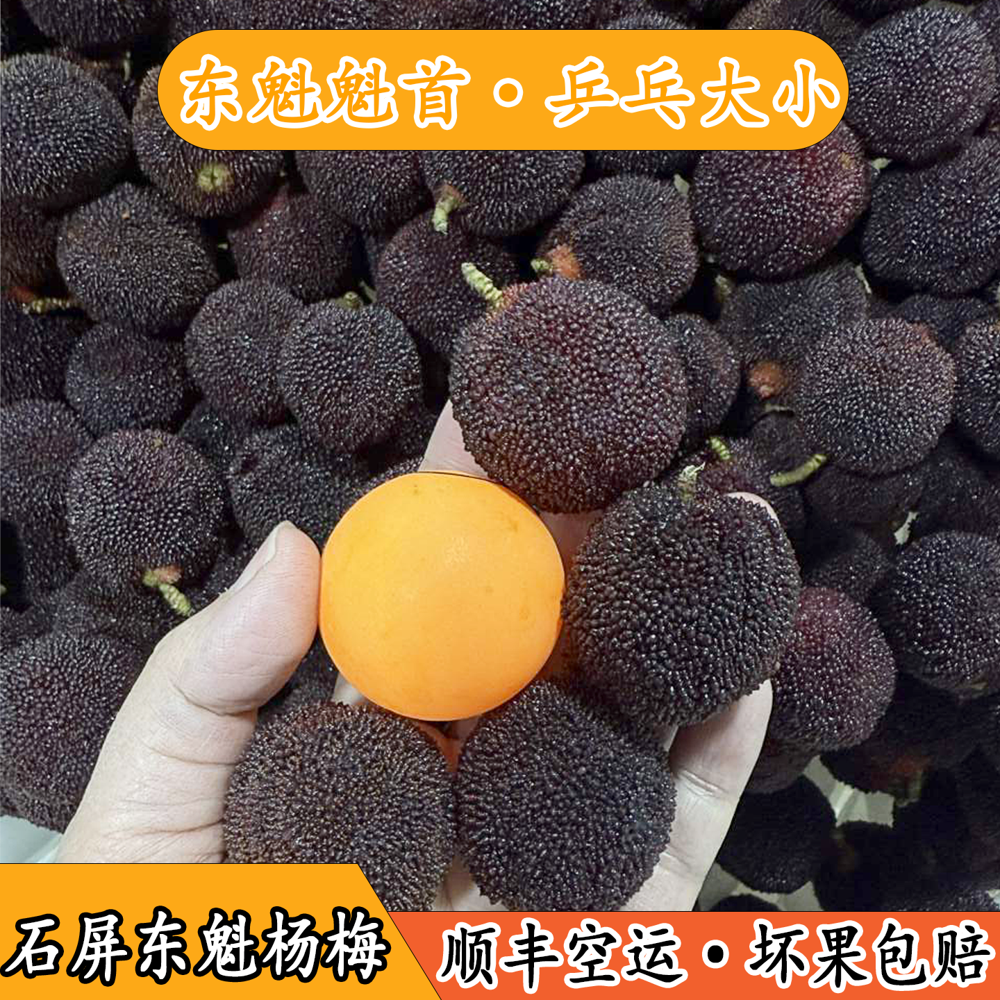 云南红河新鲜杨梅现摘现发农家自产甜脆多汁当季水果当季新鲜水果