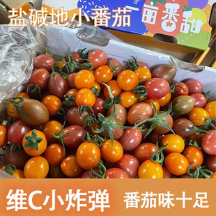 【顺丰包邮】福建漳州盐碱地小番茄西红柿三拼圣女果健身水果孕妇