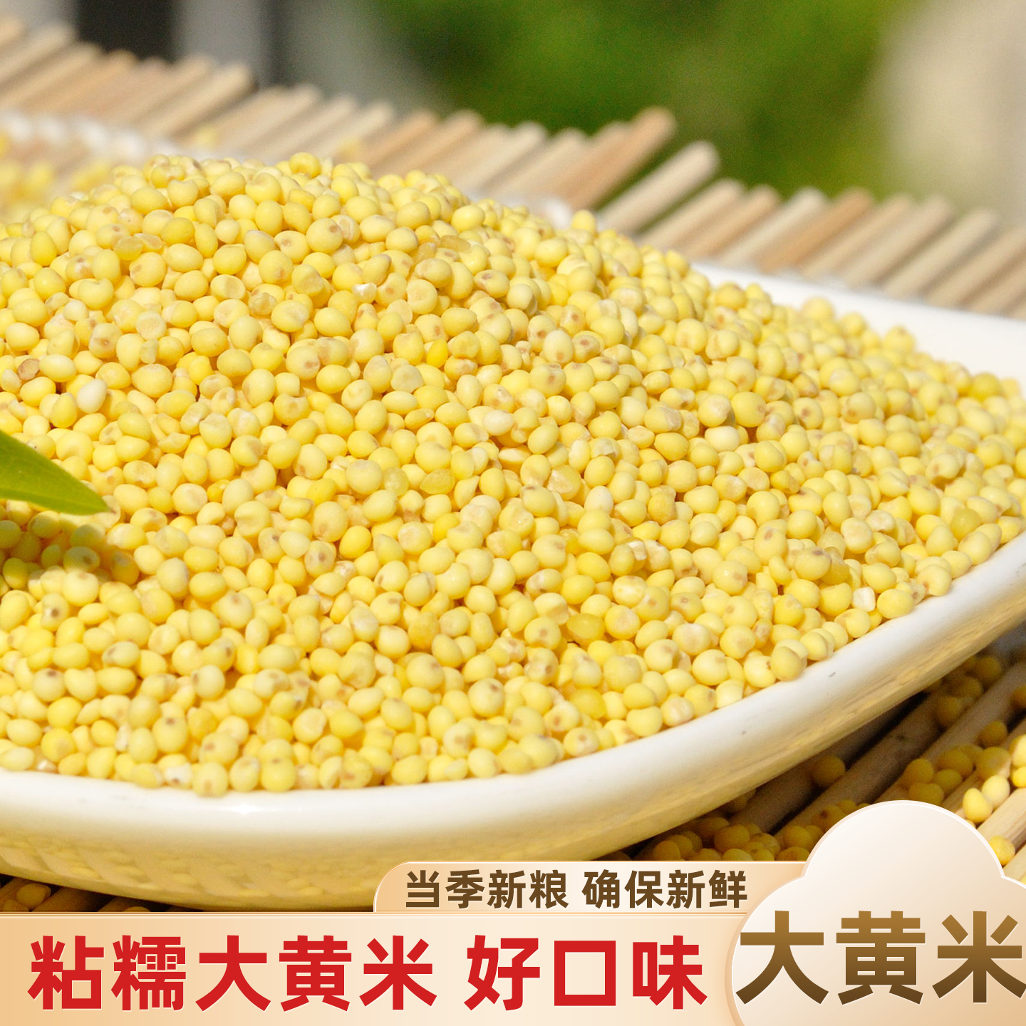 东北特产新货大黄米粘米粽子米