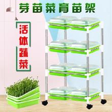 立体种植槽水培豆芽种植盘家用架1