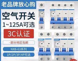 正泰NXB空气开关32A2P家用空开小型断路器总开电闸63a100a16ADZ47