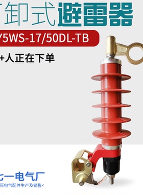 HY5WS-17/50DL-TB可卸式避雷器更换配件户外高压复合氧化锌避雷器