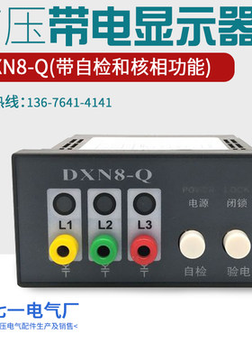 带电显示器10KV高压带电显示器