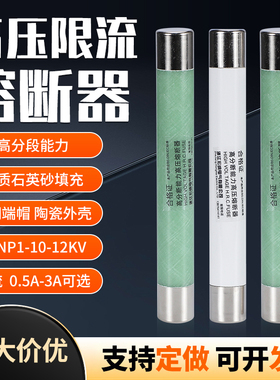 高压限流熔断器XRNP1-10/12KV0.5/1/2/5A高分断能力保险PT熔管