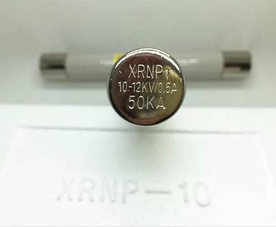 高压限流熔断器PT电压互感器XRNP1-10/12KV/0.5A1A2A3A带夹子一套