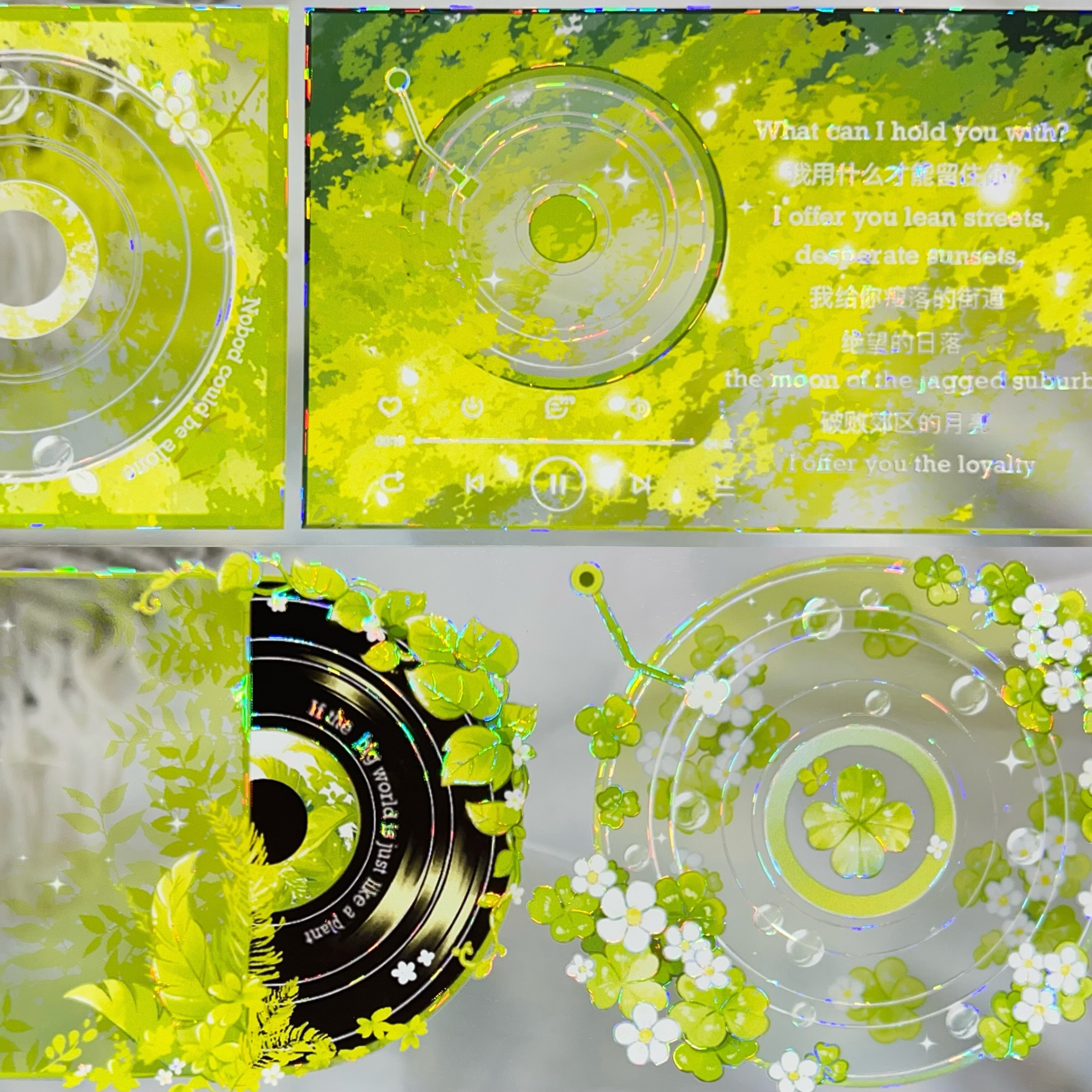 风见幸山 我的专辑PET贝壳光胶带黑胶片唱片CD光盘手帐咕卡素材