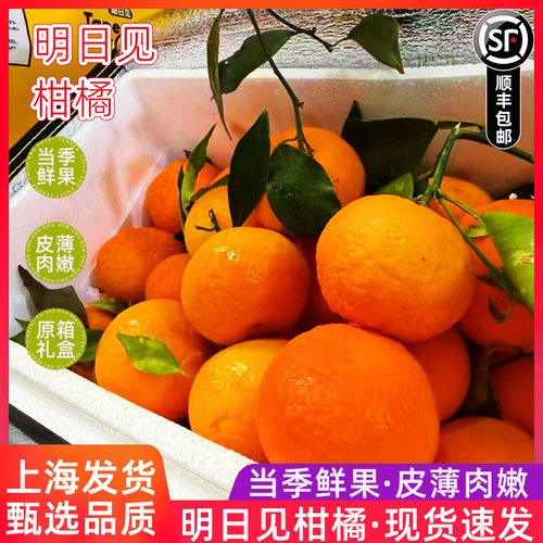 寸金地明日见柑橘礼盒装应当季时令新鲜水果桔子纯甜多汁整箱8斤