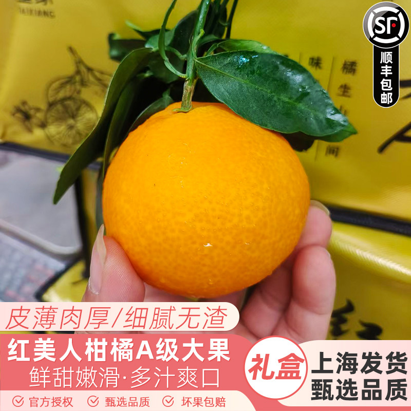 新货正宗象山红美人柑橘桔橙礼盒装新鲜当季水果纯甜嫩爱媛果冻橙