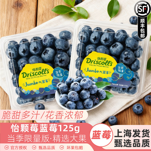 怡颗莓大果脆甜蓝莓王