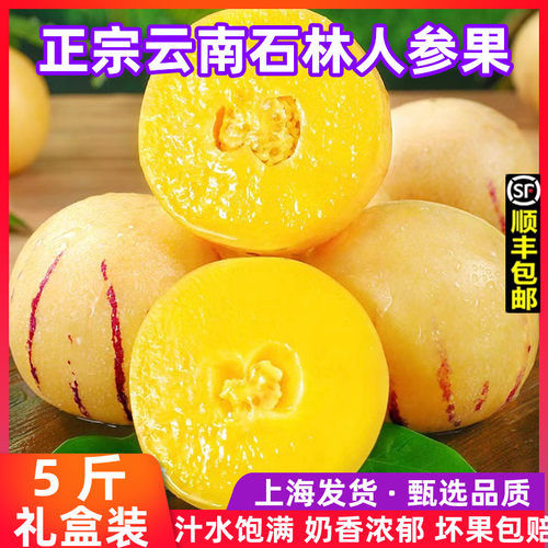 云南石林人参果10斤大果