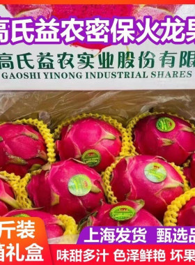 海南密保金都一号新鲜超甜火龙果