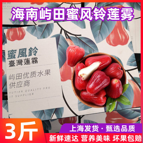海南屿田蜜风铃黑金刚莲雾3斤礼盒装时令水果新鲜爽口多汁