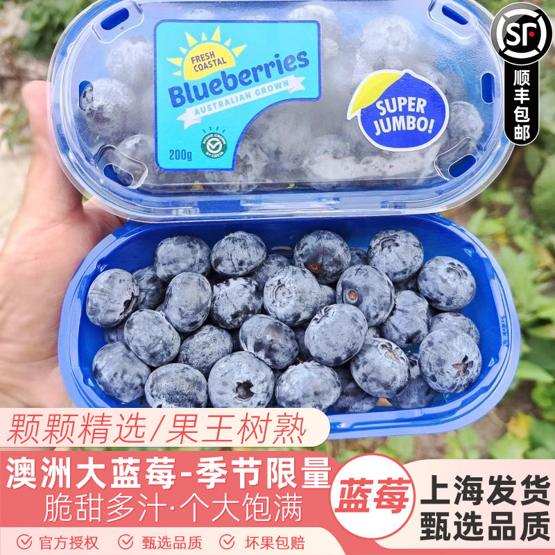 澳大利亚进口澳洲蓝莓SuperJumbo当季限量新鲜孕妇脆甜顺丰