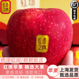 包邮 云南高原红锈苹果红锈天香当季 水果10颗脆甜多汁顺丰