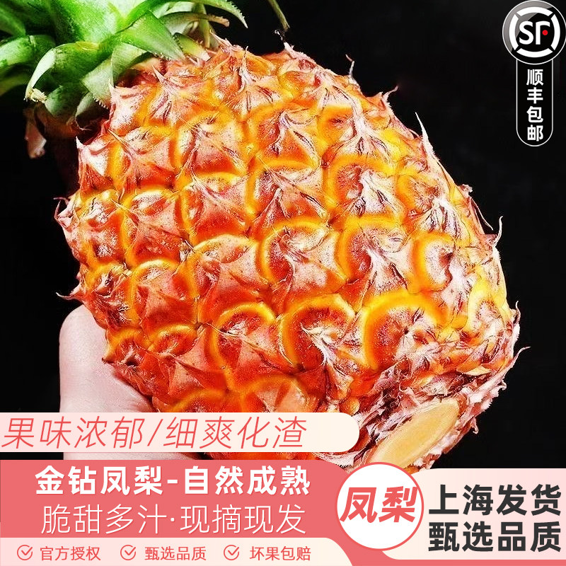 海南坡罗村古法金钻凤梨脆甜多汁新鲜应季水果树上熟现摘现发顺丰