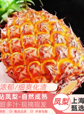海南坡罗村古法金钻凤梨脆甜多汁新鲜应季水果树上熟现摘现发顺丰
