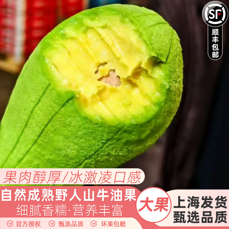 云南野人山牛油果14颗即食鳄梨新鲜水果当季时令鳄梨特大果顺丰