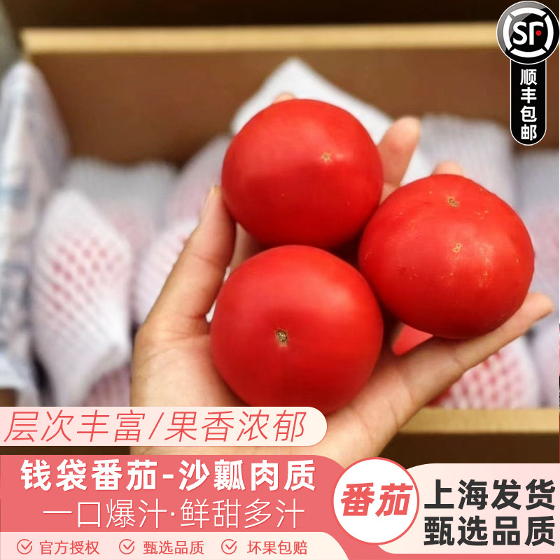 钱袋高糖番茄原种引进水果番茄味浓3斤装礼盒高糖小番茄顺丰快递