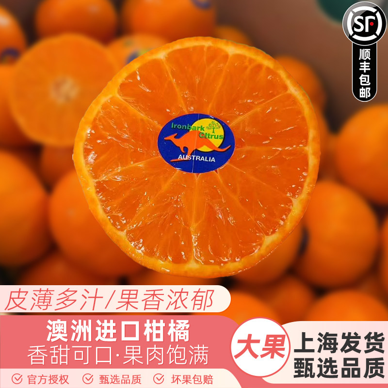 澳大利亚进口柑橘蜜橘子蜜桔澳柑不上火新鲜桔子当季时令新鲜水果
