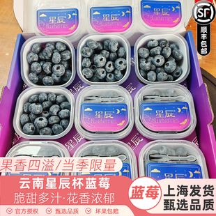 云南星辰l花香蓝莓鲜果小懒超能杯山姆枝特大冠新鲜水果礼盒装25
