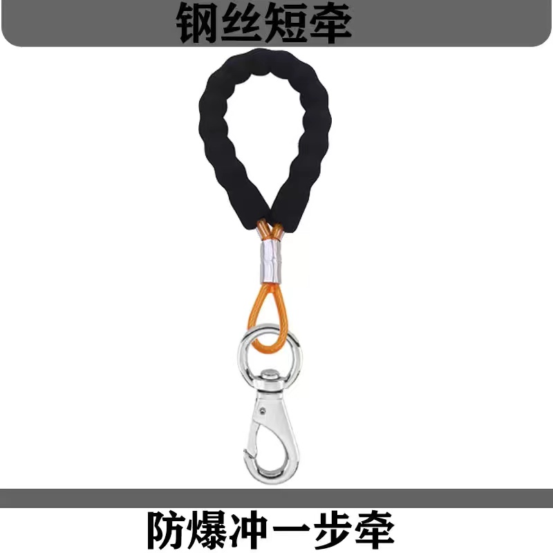 短款狗狗牵引绳一步牵狗绳防爆冲