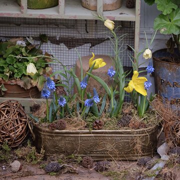 花盆英文哪个牌子好 爱美日记