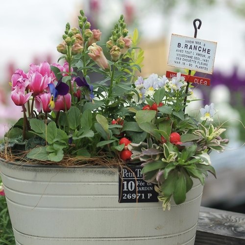 外贸出口日系花插户外花园