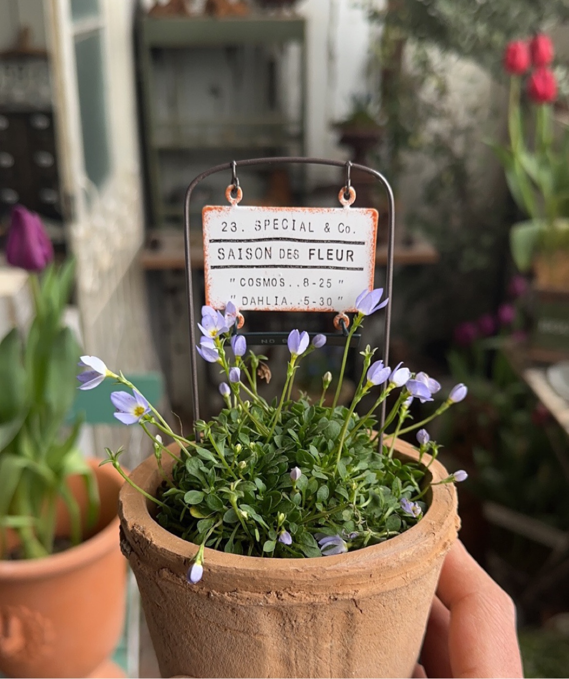 铁艺花插日系花园装饰