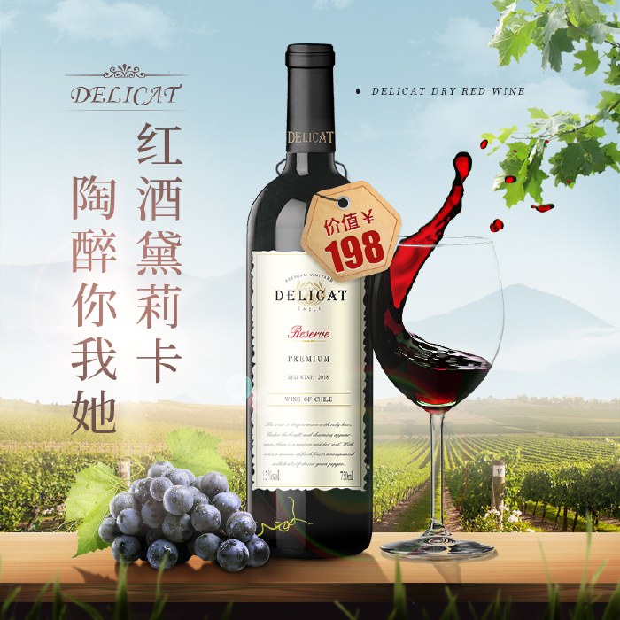 智利 黛莉卡红酒干红葡萄酒 日常餐酒单瓶双瓶 整箱 优惠