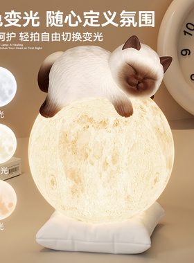 暹罗猫台灯轻奢高级感卧室床头灯