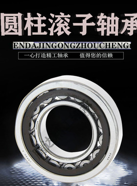 进口 NU1005 1006 1007 1008 1009 1010 EW EM C3圆柱滚子轴承