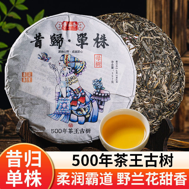 梦仙香2023年云南临沧早春昔归单株母树500年茶王古树生茶饼357克