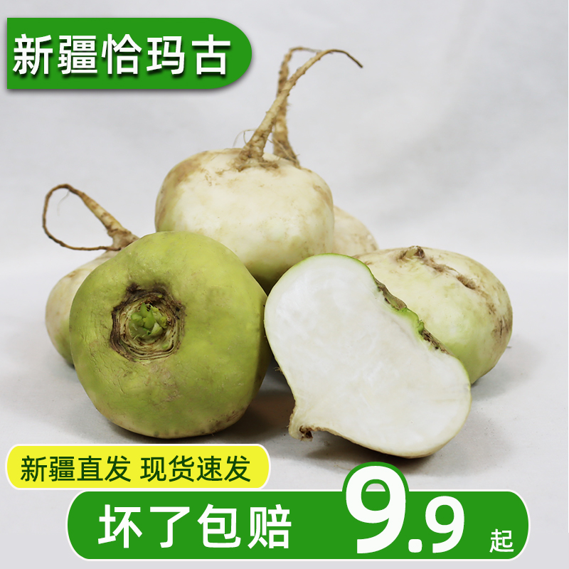 新疆恰玛古芜菁蔓青新鲜柯坪恰玛菇蔬菜恰麻古诸葛菜生吃凉拌包邮