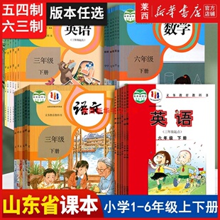 数学青岛英语鲁科外研版 五四制 2024烟台威海等地小学语文人教部编版 英语三起点12345一二三四五年级上册下册课本教材课本套装