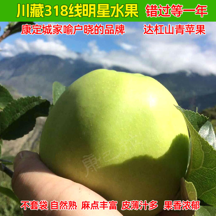 现摘正宗达杠苹果脆甜多汁非王林