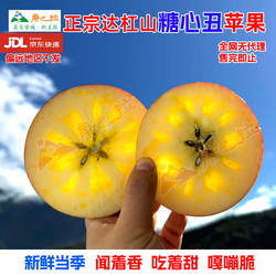 正宗康定达杠糖心野丑苹果高原藏区生态甜脆红富士年货礼京东到家