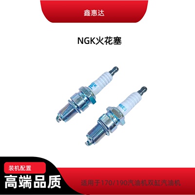 NGK汽油机火花塞170/190双缸机