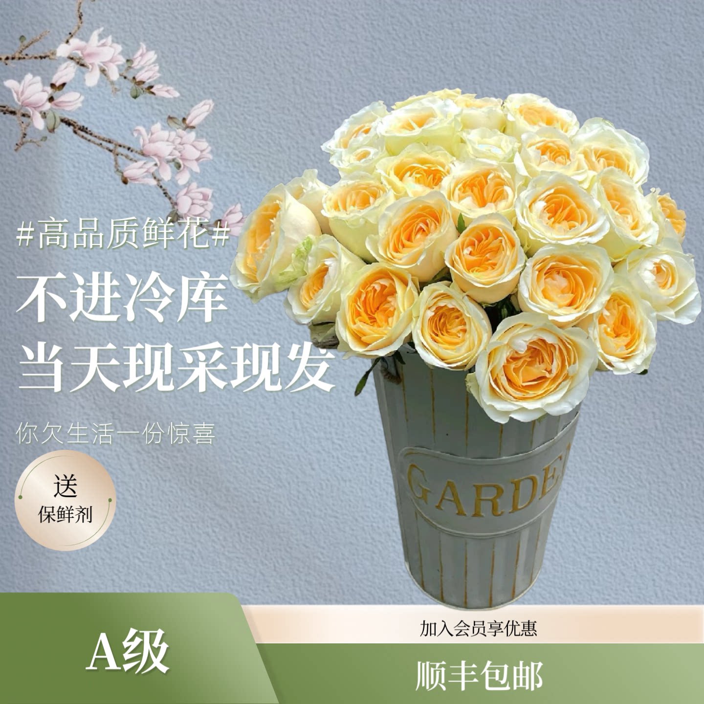 长风花舍【顺丰包邮】鲜花A级奶油杯玫瑰云南基地直发