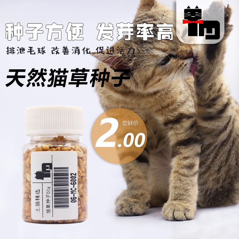 199ÔªÔù ÍÁè³èÎï ÖÖÖ²·½±ã ·¢Ñ¿ÂÊ¸ß Ã¨²ÝÖÖ×ÓÔ¼50g ´óÂóÖÖ×Ó