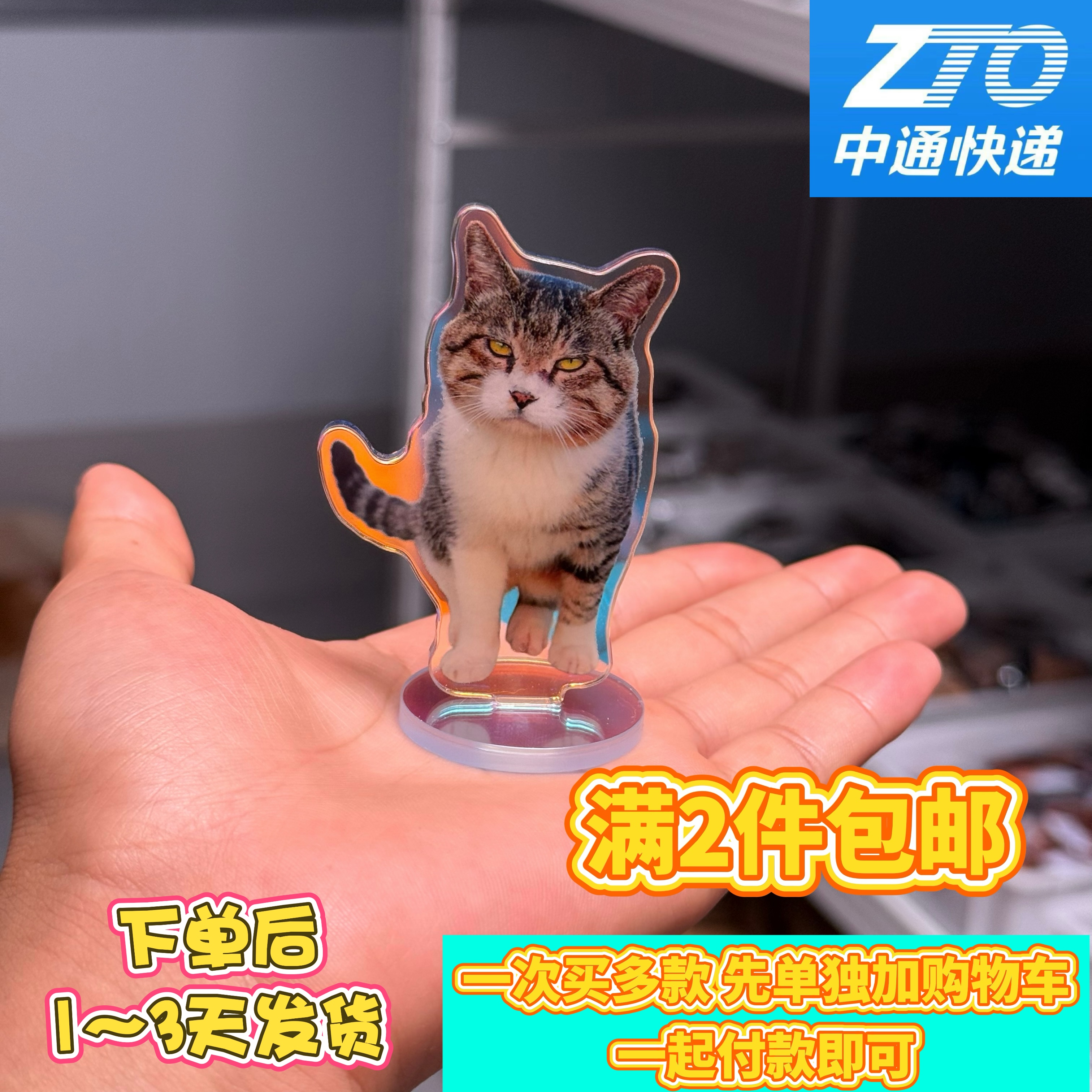 猫猫狗狗亚克力小立牌钥匙扣挂件冰箱贴吧唧徽章鼠标垫抱枕周边