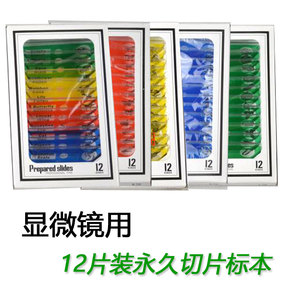 显微镜配件 塑料生物标本切片 1盒12片装 学生儿童安全创意实验用