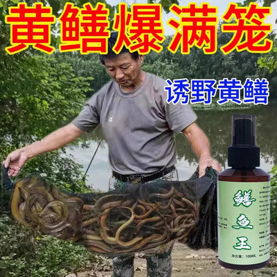 黄鳝小药饵料鳝鱼诱泥鳅鳝鱼专用饲料诱捕神器高浓度抓鳝诱食剂ZM