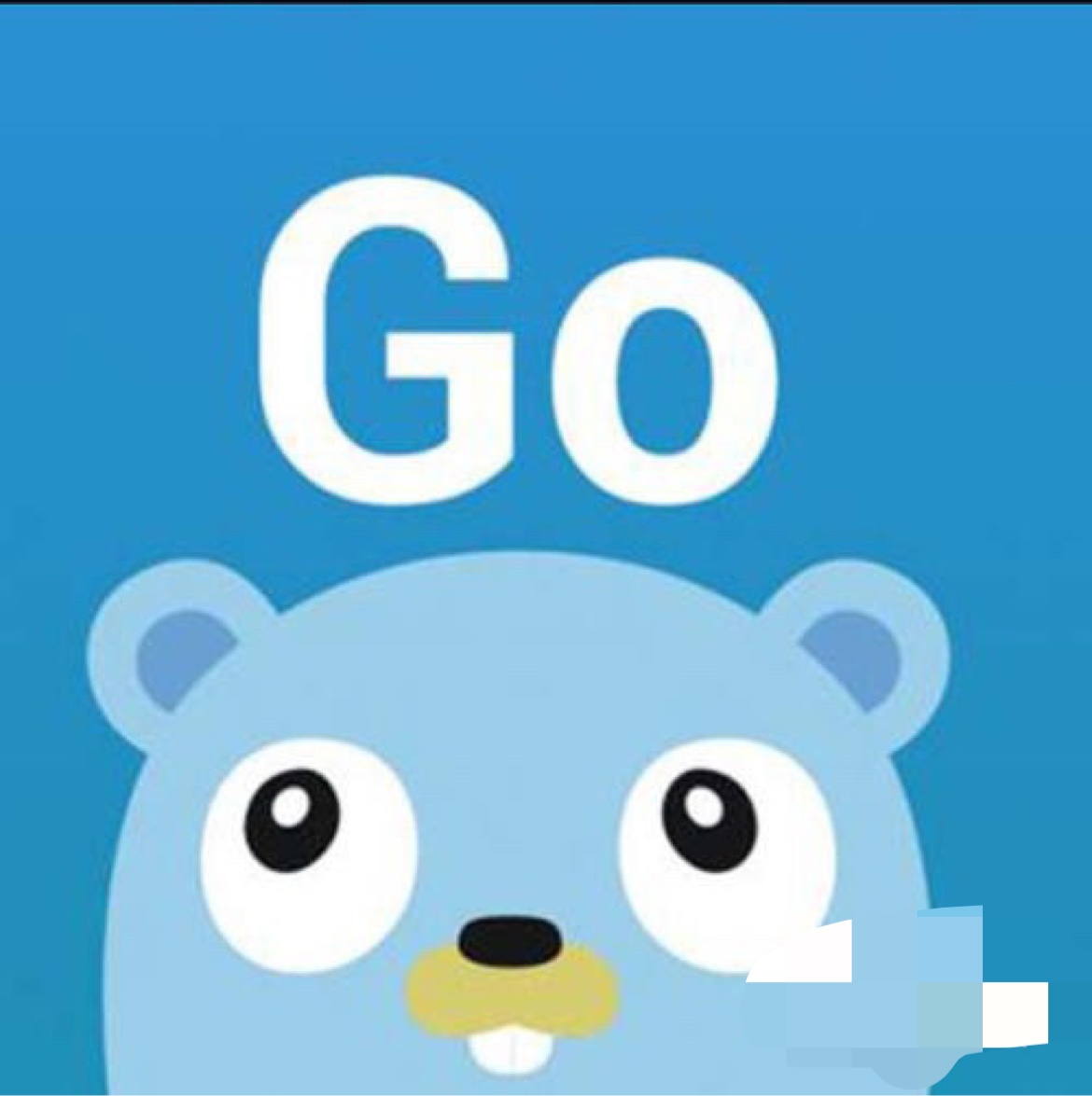 Golang技术指导web网站开发API接口编写代码bug修复项目开发对接