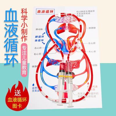 人体心脏血液循环模型科学小实验材料包儿童小发明科技制作教具