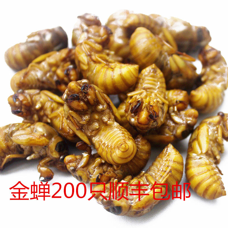 金蝉知了猴蝉蛹新鲜速冻爬叉猴200只爬蚱2021爬叉猴顺丰包邮|msdalam kategori daging perikanan/Buah-buahan segar dan sayur-sayuran/dimasak, daging mentah/daging, Lain-lain produk daging mentah - dari Buy2taobao.com untuk memberikan perkhidmatan ejen Taobao profesional membeli