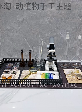 飘窗样板间托盘摆件现代