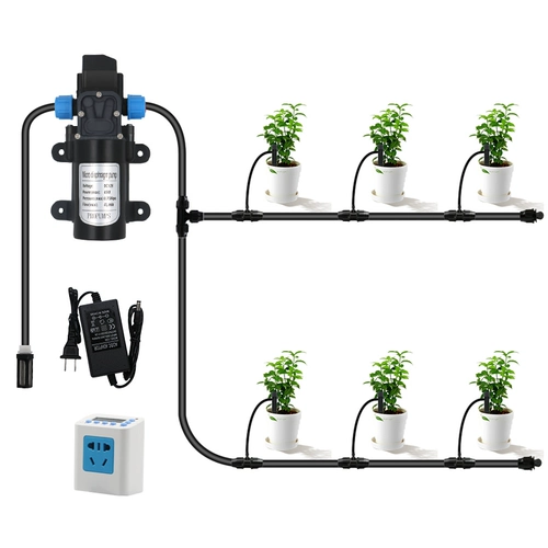 Автоматическая своевременная вода -Абсорбентный насос тип воды -Абсорбентный насос Тип насоса