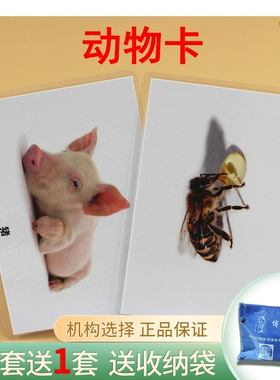博士星教具动物类闪卡自闭症训练卡片语言迟缓训练教材早教闪卡