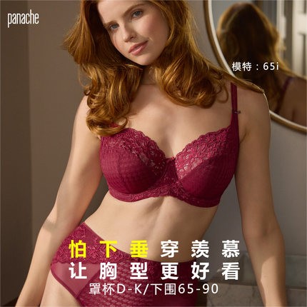 威跑Panache羡慕Envy 大胸显小薄款 防下垂内衣 全罩杯文胸 D-K杯