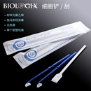 独立灭菌 25cm Biologix巴罗克塑料细胞铲细胞刮刀 柄长18